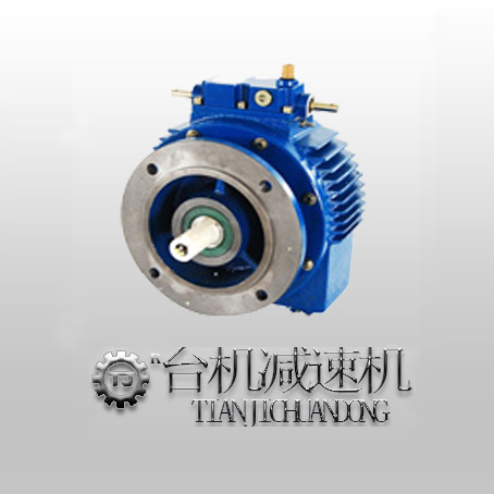 立式UDT無(wú)級(jí)變速機(jī)，立式UDT無(wú)級(jí)變速器